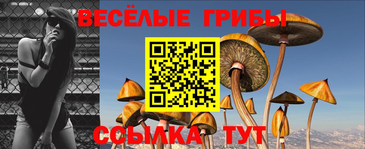 Галлюциногенные грибы Magic Shrooms Чусовой